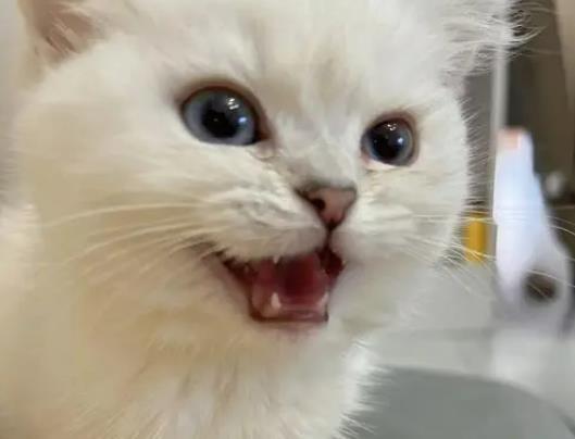 ؈?jin)ôЛ](mi)в؈ÿ춼ʺ