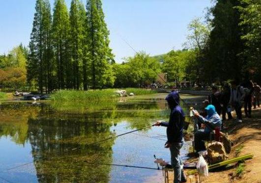 黑坑釣魚沒口怎么辦?夜釣魚餌最好怎么調 黑坑釣魚沒口怎么辦?夜釣魚餌最好怎么調