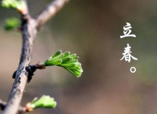 打春有什么講究?2024年躲春的正確方法和技巧 打春有什么講究?2024年躲春的正確方法和技巧