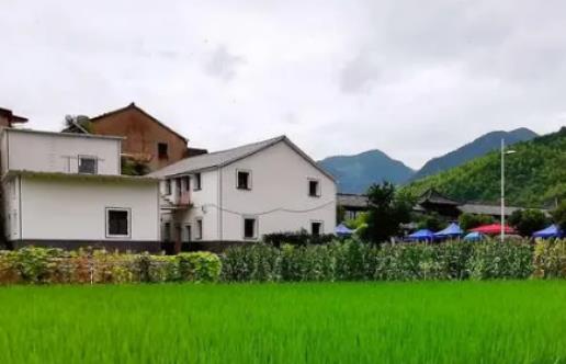 南京的氣候和蘇州差異大嗎?南京2024年夏天晚上八點(diǎn)天黑了嗎 南京的氣候和蘇州差異大嗎?南京2024年夏天晚上八點(diǎn)天黑了嗎
