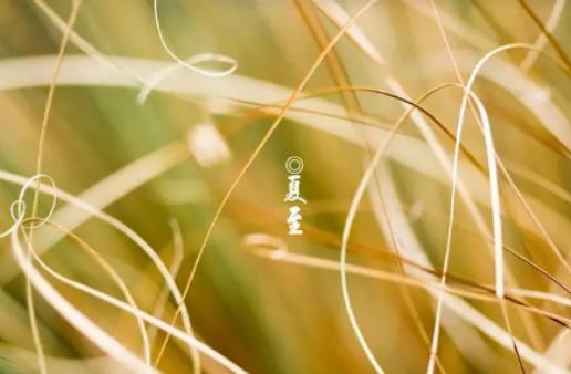 2024年夏至之后天氣會(huì)更熱嗎?2024年夏至日后是晝長(zhǎng)夜短還是晝短夜長(zhǎng) 2024年夏至之后天氣會(huì)更熱嗎?2024年夏至日后是晝長(zhǎng)夜短還是晝短夜長(zhǎng)
