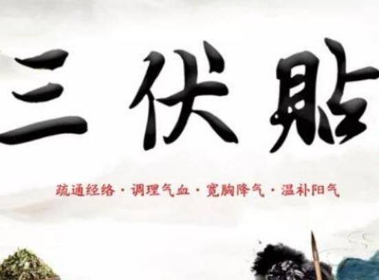 艾灸治療肩周炎有效嗎?三伏天調(diào)理身體有什么好處 艾灸治療肩周炎有效嗎?三伏天調(diào)理身體有什么好處