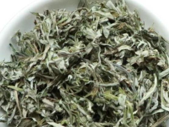 艾草煮水可以天天用來洗澡嗎?艾草水洗頭功效有哪些 艾草煮水可以天天用來洗澡嗎?艾草水洗頭功效有哪些