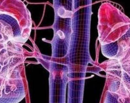 腎結石震碎后多久能走路?腎結石會引起腹脹嗎 腎結石震碎后多久能走路?腎結石會引起腹脹嗎