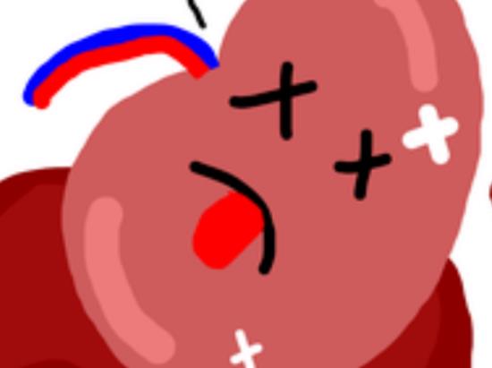 IY(ji)ʯxЩIY(ji)ʯ(yng)ԓעʲô