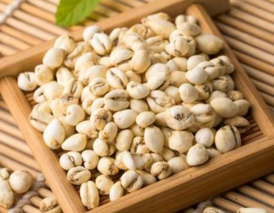 經(jīng)期可以吃川貝枇杷膏嗎?胃病可以吃川貝枇杷膏嗎 經(jīng)期可以吃川貝枇杷膏嗎?胃病可以吃川貝枇杷膏嗎
