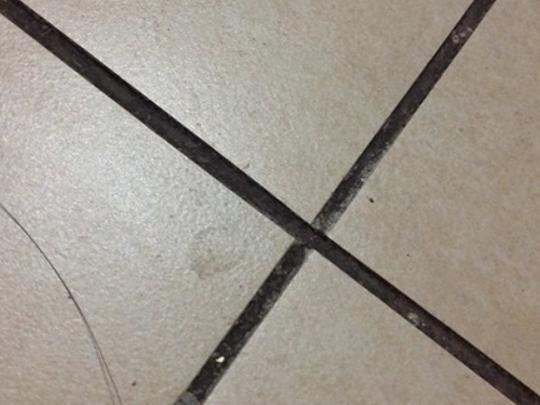 十大瓷磚勾縫劑品牌排行榜,百得瓷磚勾縫劑、德高瓷磚勾縫劑質(zhì)感很好 十大瓷磚勾縫劑品牌排行榜,百得瓷磚勾縫劑、德高瓷磚勾縫劑質(zhì)感很好