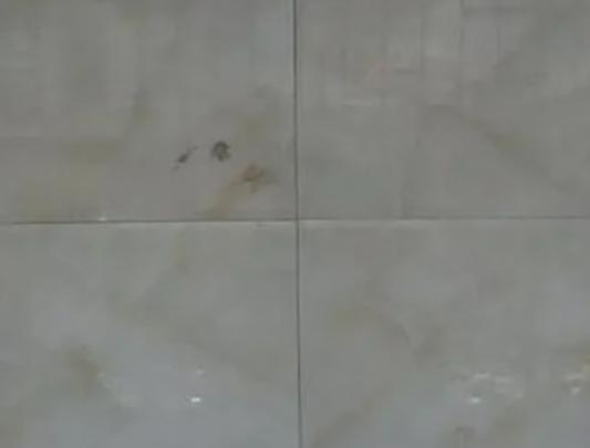 十大瓷磚勾縫劑品牌排行榜,百得瓷磚勾縫劑、德高瓷磚勾縫劑質(zhì)感很好 十大瓷磚勾縫劑品牌排行榜,百得瓷磚勾縫劑、德高瓷磚勾縫劑質(zhì)感很好
