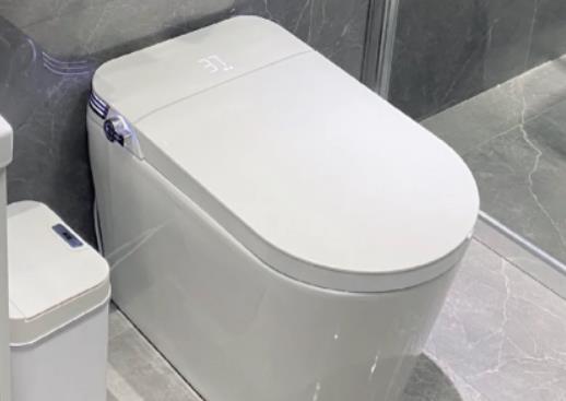 馬桶水箱不進(jìn)水如何處理?自動(dòng)馬桶蓋怎么使用 馬桶水箱不進(jìn)水如何處理?自動(dòng)馬桶蓋怎么使用