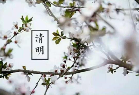 2022年清明節(jié)立碑是兒子立還是孫子立?清明節(jié)上墳貢品擺幾個(gè)