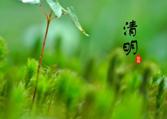 2022年清明節(jié)立碑是兒子立還是孫子立?清明節(jié)上墳貢品擺幾個(gè)