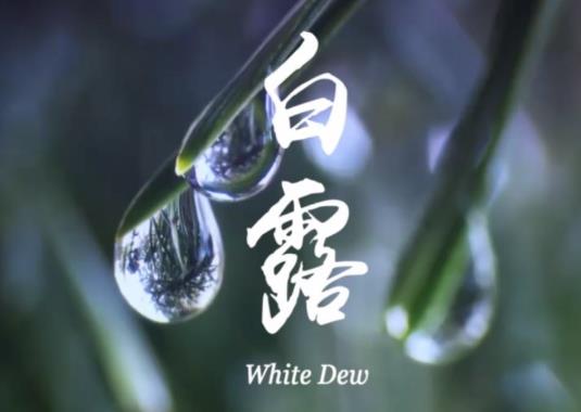 白露后還熱嗎要熱多久?2021年白露后氣溫會(huì)下降嗎?