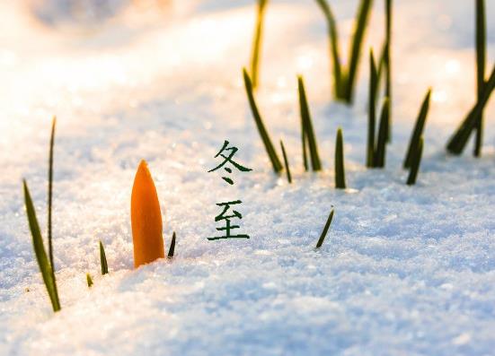 冬至吃餃子是為了紀(jì)念哪位醫(yī)學(xué)家?冬至可以只吃一個餃子