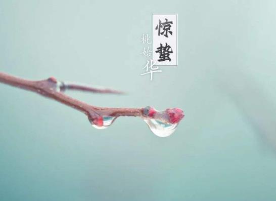 驚蟄過后氣候有什么變化?驚蟄節(jié)氣的氣候特點是什么