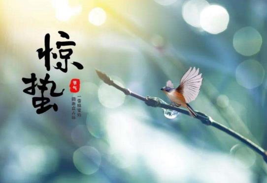 2022驚蟄刮風(fēng)還要再冷多少天?2022年3月5日驚蟄是什么節(jié)日