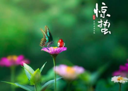為什么驚蟄要脫帽子?驚蟄節氣要注意什么