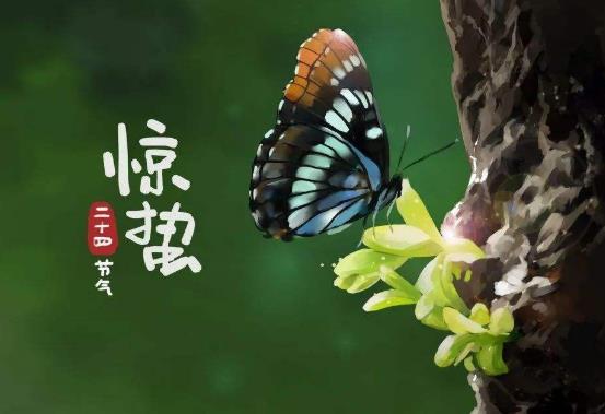 為什么驚蟄要脫帽子?驚蟄節氣要注意什么