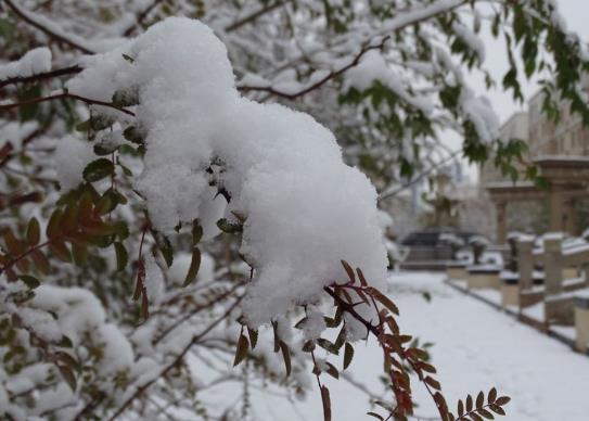 下雪后高速一般多久開始通車?在高速上下雪了怎么辦